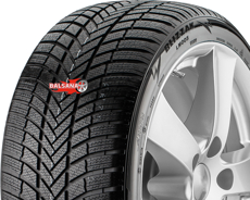 Шины Bridgestone Bridgestone Blizzak LM-005 (+) AO (255/45R20) 101T