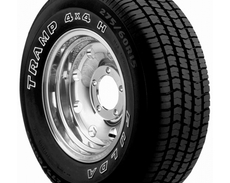 Шины Fulda Fulda TR.4X4 YUKON (255/65R16) 109T