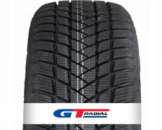 Шины GT-Radial GT Radial Winterpro 2 2022-2024 (195/65R15) 91H