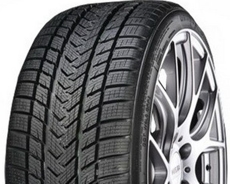 Шины Gripmax Gripmax Status Pro Winter 2019 (245/35R18) 92V