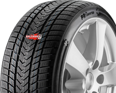 Шины Gripmax Gripmax Suregrip Pro Winter  (245/35R21) 96V