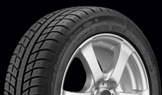 Шины Michelin Michelin Primacy Alpin 2010 year (225/55R16) 95H