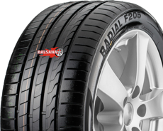 Шины Minerva Minerva F205 (Rim Fringe Protection)  2023 (255/40R20) 101Y